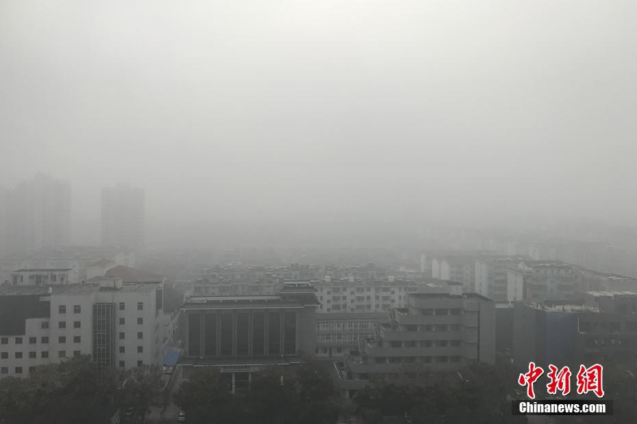 高清不卡d d一区二区三区;日本一道免费d v d二区