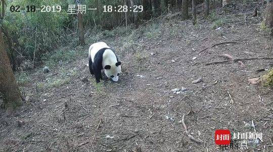 3715色一区二区三区
