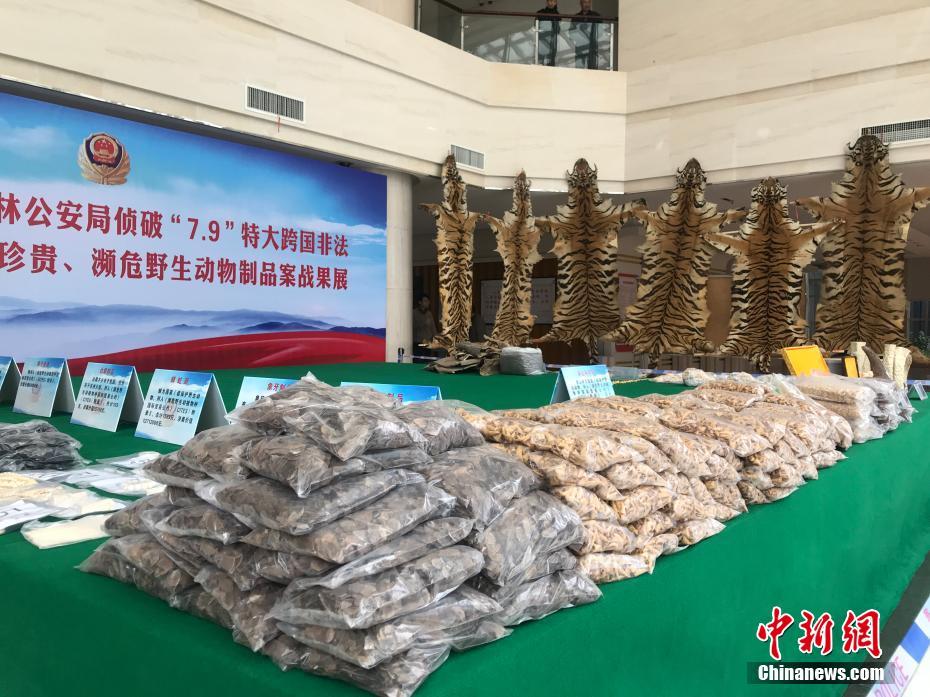 黑料吃瓜在线吃瓜朱馨宇