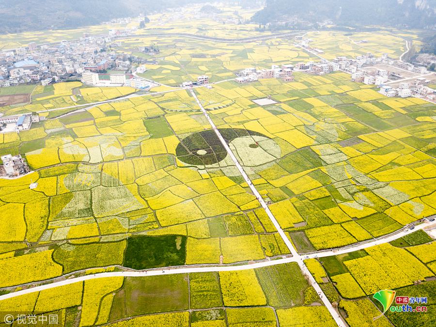 一区二区三区区别-怎么分辨是外地烟还是本地烟