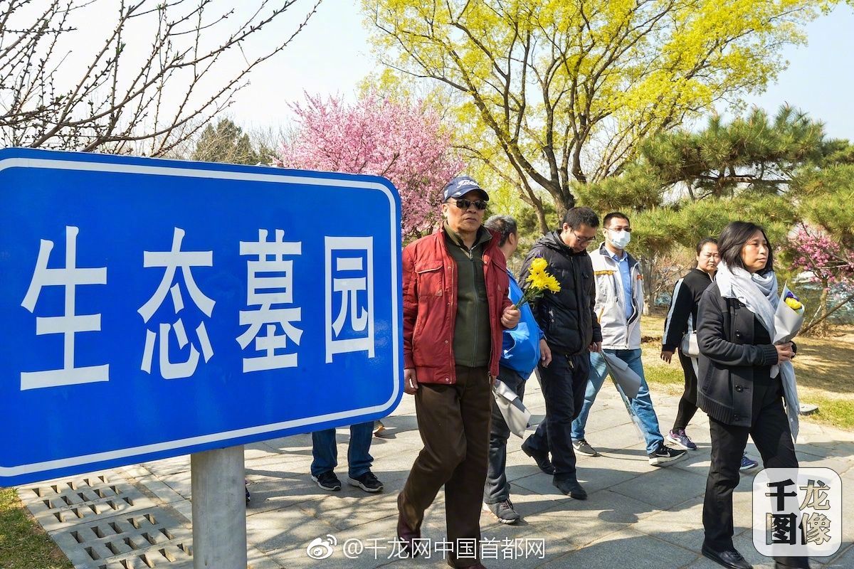 av久久久久久不卡软件(的av是什么)