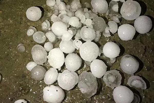 春日野结衣A 一区二区三区,波多野和俊