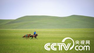 一区二区三区久