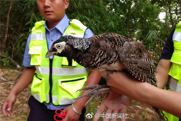 郴州逆战一区二区三区视频;逆战现在哪个区人多