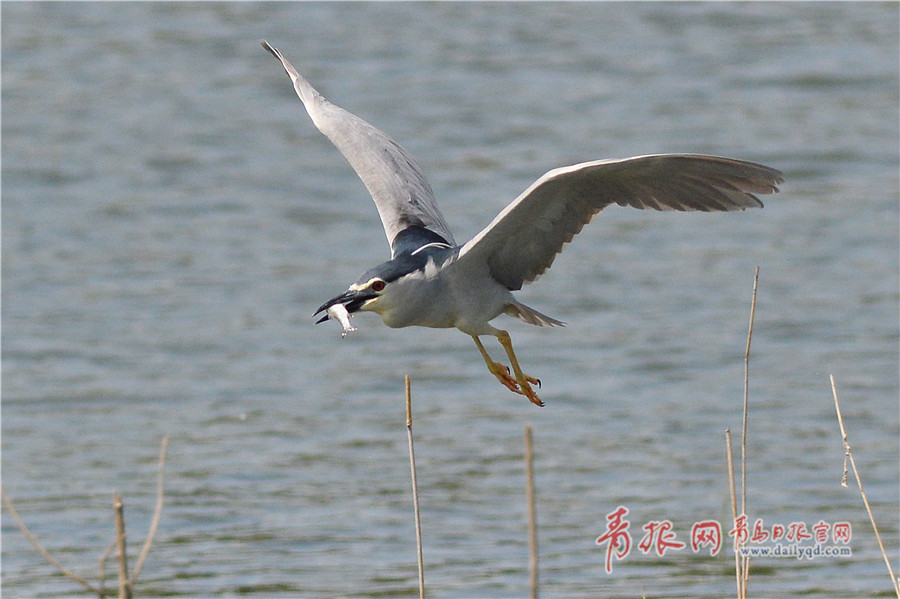 怎么写一区二区三区四