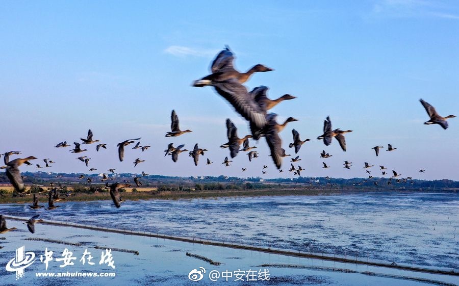 成都一区二区三区四—成都市天府四街属于哪个区