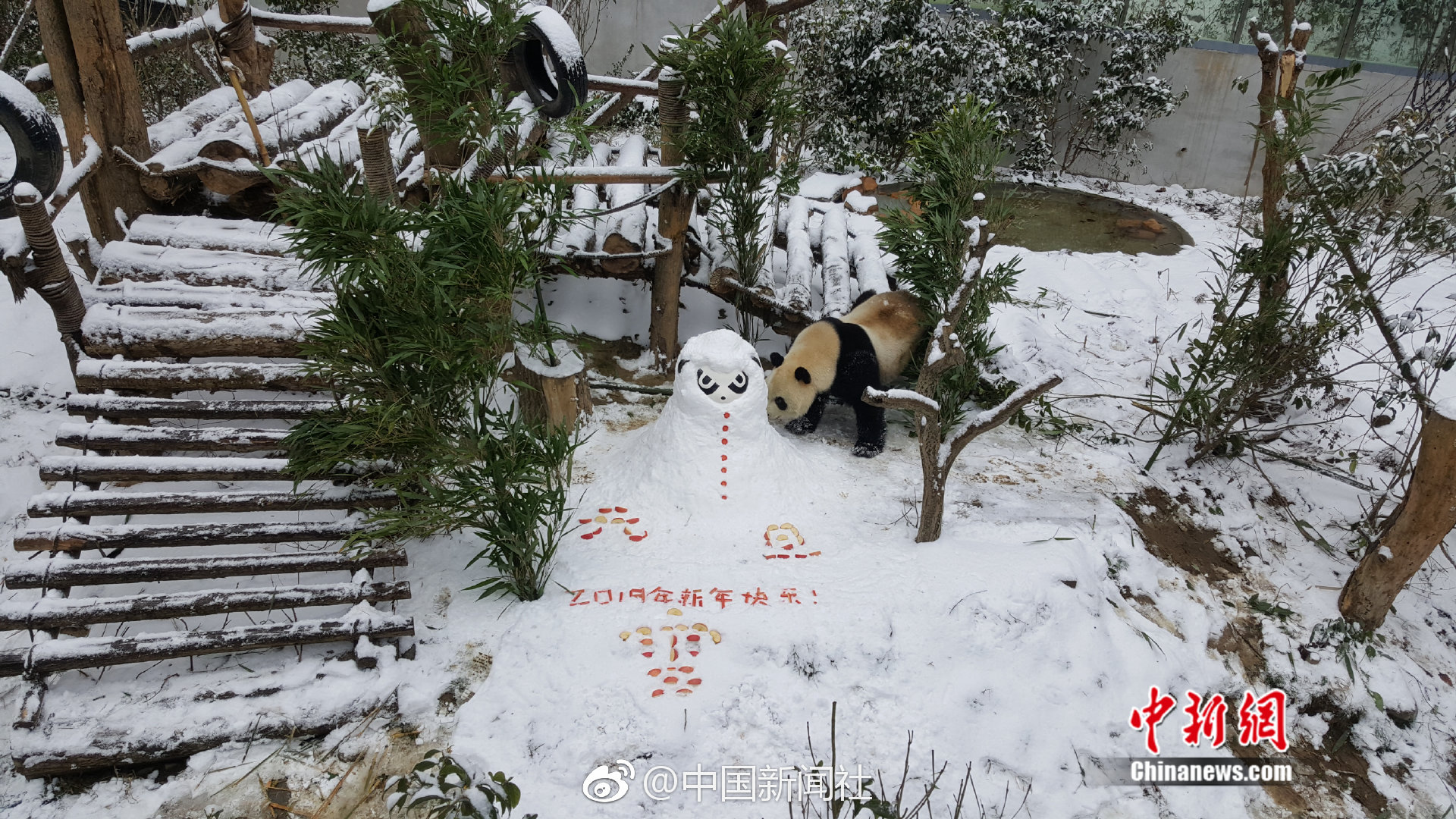 亚洲成在人一区二区三区,亚洲成女人图区18