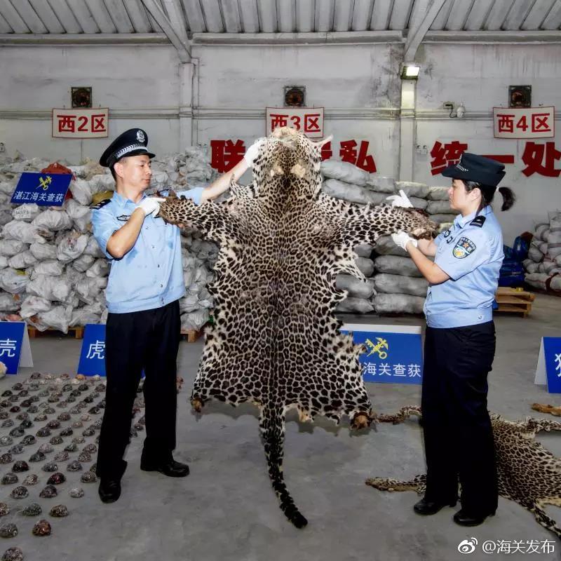 老牛影院一区二区三区