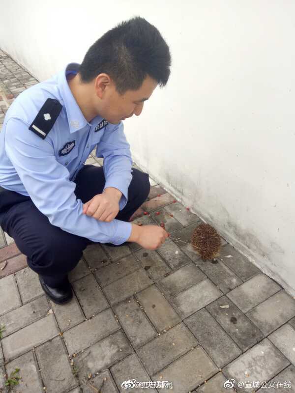 csol三区合并到一区还是二区,csol可以转区吗