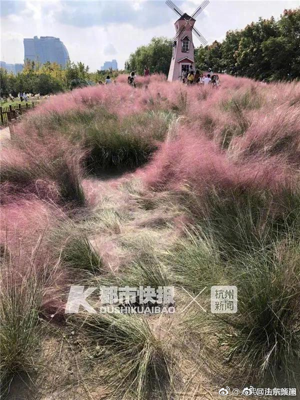 一区 二区 三区英文-在什么区 英语表示