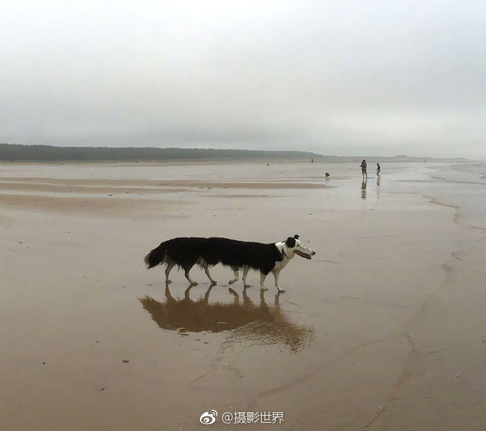私人影视一区二区三区 私人影院能上映院线电影吗