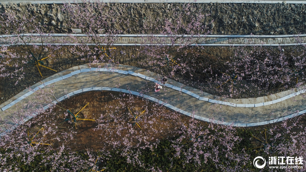 1电影一区二区三区,西西里的美丽传说 电影
