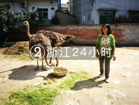论文一区二区三区是啥