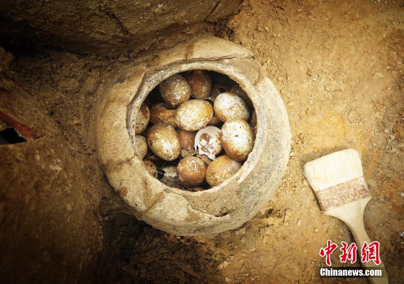 无翼邪恶一区二区三区
