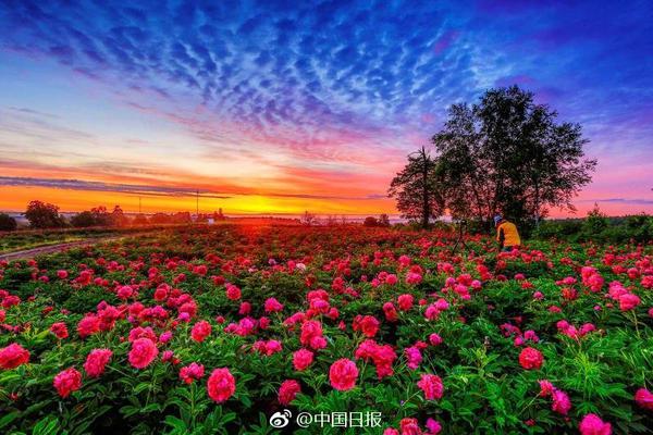高清亚洲一区二区三区