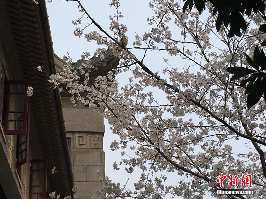 回本不卡一区二区三区