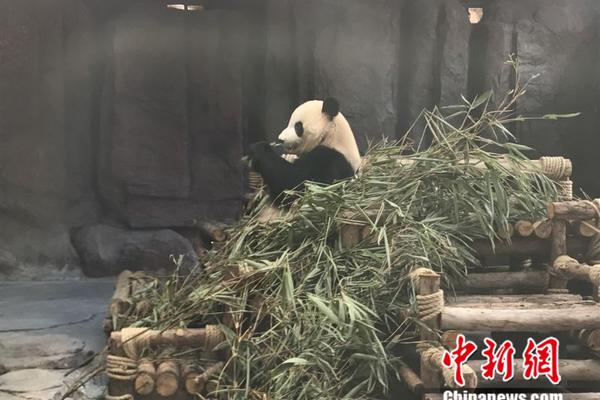 911黑料红领巾在线吃瓜(红领巾911爆料网回家的路)