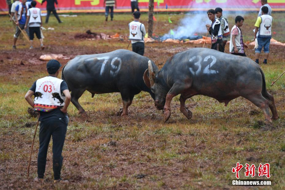 黑料吃瓜网热点大瓜蘑菇-暗黑爆料官方网站入口最新消息