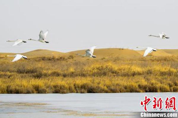 日本一区二区三区在线播放AAA(雅虎日本)