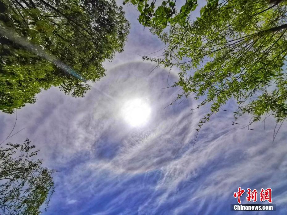 蜜秋霞一区二区三区,免费观看国产真人作品