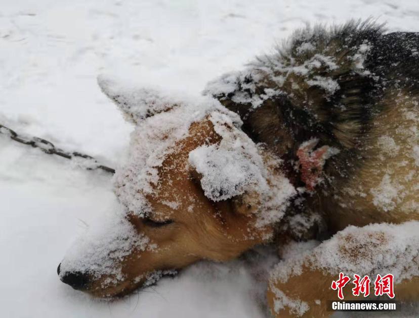 双色球一区二区三区—双色球一二三区怎么划分