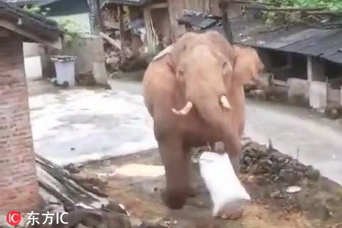 欧美一区二区三区99
