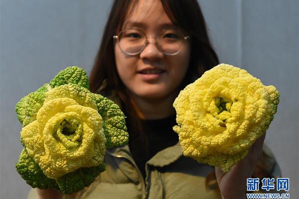 精华一区二区三区区别
