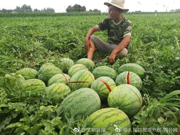 色视频综合一区二区三区