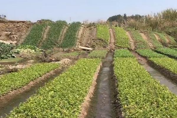 av乱码一区二区三区(2区3区4区产品乱码观看)