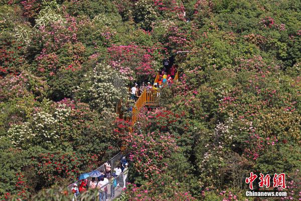 有个吃瓜网站叫什么黑料