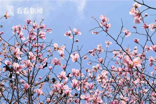 楠木学院一区二区三区
