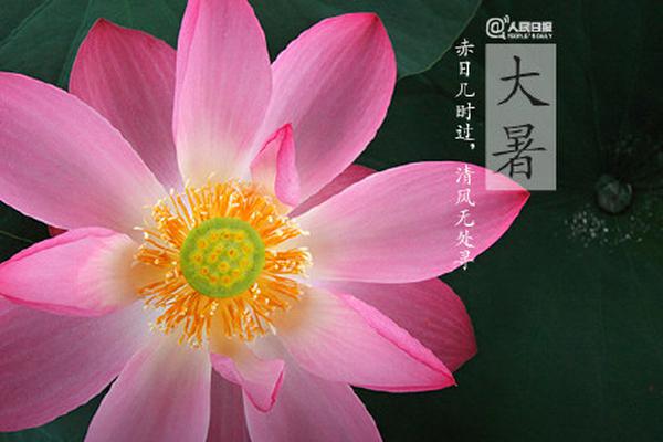 热点事件黑料吃瓜、瓜料