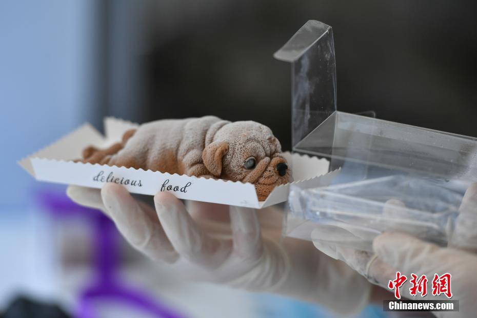 国产SV一区二区三区最新精品